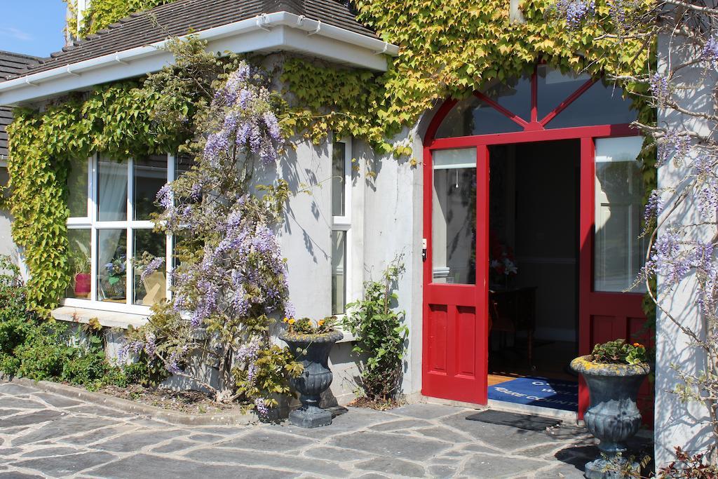 Adare Country House المظهر الخارجي الصورة